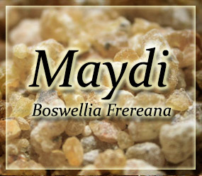 Frankincense Resin - Boswellia_frereana - Maydi frankincense - Boswellia frereana