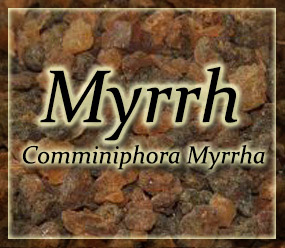 Myrrh Resin - Commiphora myrrha