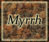myhrr - commiphora myrrha